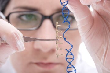 США намерены разрешить генную терапию в 2017 году