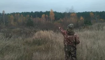 На Одещині мисливець розстріляв напарника замість дичини: "ховався в очеретах"