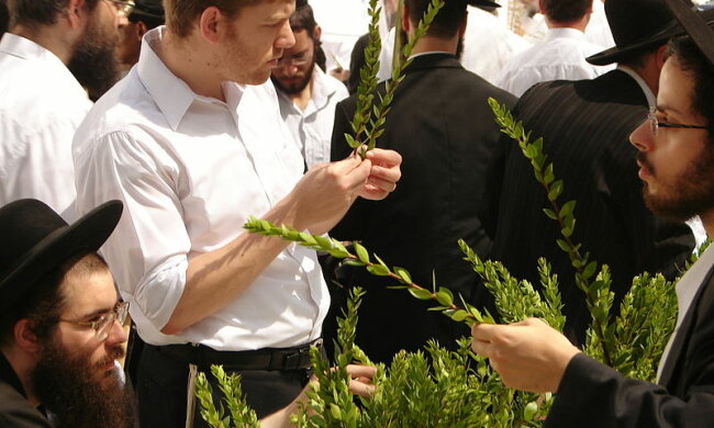 суккот, лулав, евреи, сукка