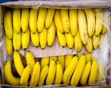 Небезпечні банани завезли в Одеську область, фото: "на 200 мільйонів..."