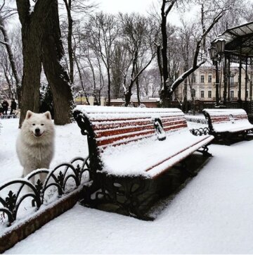 Погода в Одесі: жителів здивує прогноз на 16 січня