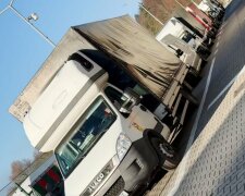 Майже 800 контрабандних рейсів за пів року через пункт «Смільниця»: журналіст опублікував розслідування