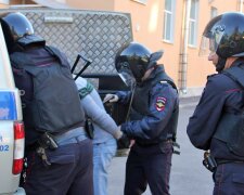 полиция россия задержание