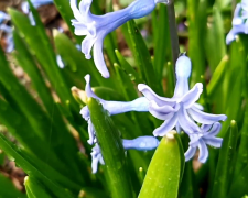 Прогноз погоди з 4 по 10 березня у Запоріжжі