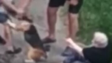 Неадекватний господар нацькував бійцівського пса на перехожих у Києві, відео: "Гребіться самі"