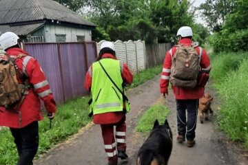"Безслідно зникла зі свого двору": на пошуки 2-річної Віолетти підняли дрон та патрульних