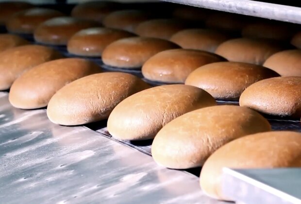 ����: politeka.net