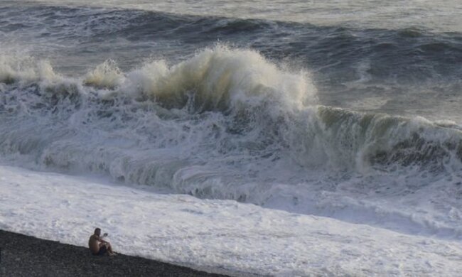 ”Пляж усіяний тілами”: вчені назвали причину катастрофи з медузами в Азовському морі
