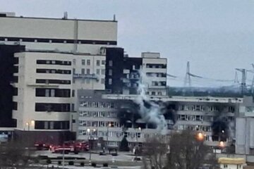 "Багато на себе взяли": Арестович розповів, як угруповання, що захопило Запорізьку АЕС, розсипалося по степах