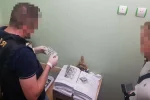 Офіс генпрокурора з ДБР викрили нахабну схему на митниці: "Користувалися службовим становищем і..."