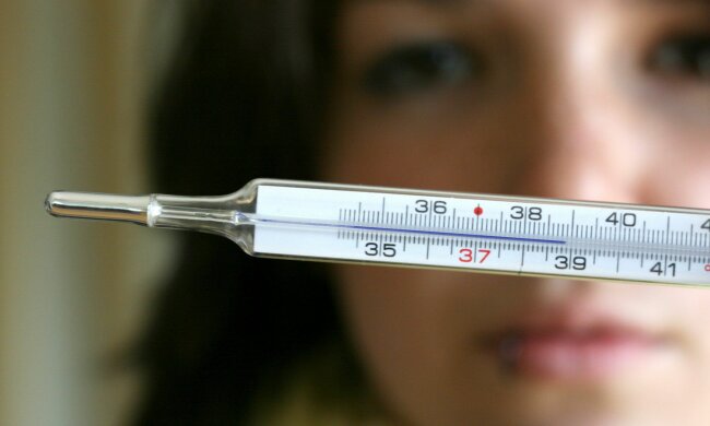 градусник термометр