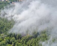 На Харьковщине загорелся лес возле домов, кадры с места ЧП: слетелись спасатели