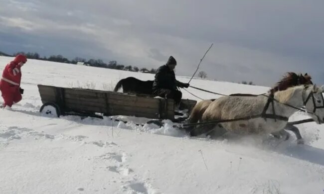 Довелося везти на конях: швидка і рятувальники не змогли дістатися до пацієнтки через замети, фото