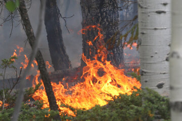 Wild Fire In Southern Utah Forces Evacuations