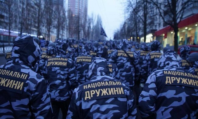 Нацдружина, Национальная дружина