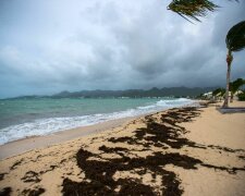 Легенда Голливуда спасет разрушенный «Ирмой» остров  (фото, видео)