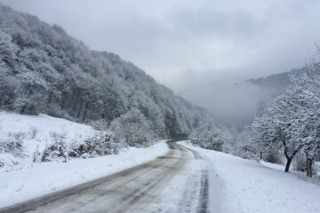 Карпаты-зимой-недорого