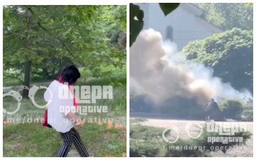 Жінка влаштувала пожежу в центральному парку Дніпра, кадри: "підпалювала пух"