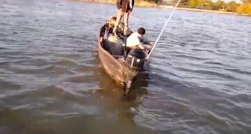 Величезну рибу виловили на річці Дунай в Одеській області: як вона виглядає, відео