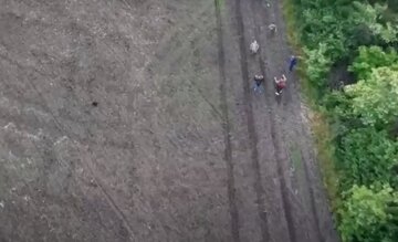 На Одесчине дрон не дал сбежать уклонистам, видео: "Не подозревают, что за ними следят"