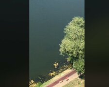 У Києві зняли рибу людського зросту: "Ось чому тонуть люди в цьому озері"