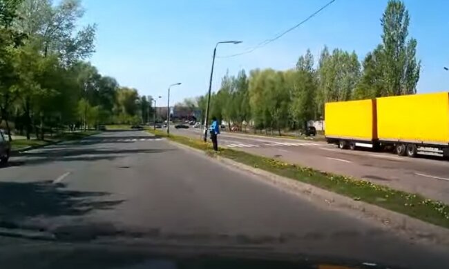 По Києву бігає рогатий звір, відео: "Стрибає під авто"