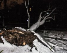 Сніговий колапс в Дніпрі: з’явилися фото і відео