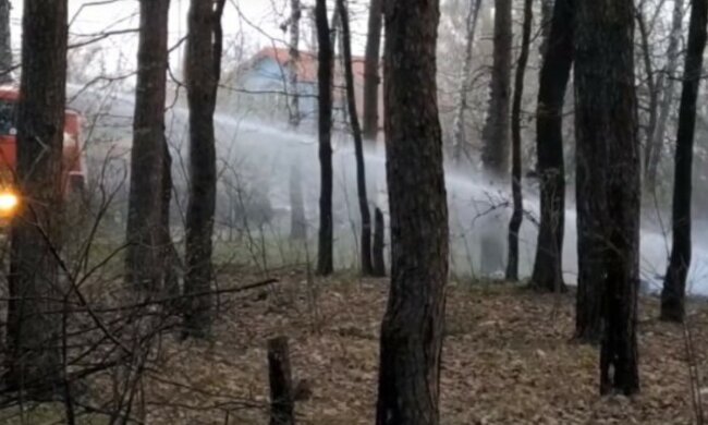 Поки палає Чорнобиль, кияни смажать шашлики: пожежники не витримали, фото