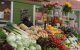 Подорожчання продуктів у Харківській області