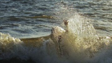 Катастрофа в Чорному морі: пляжі масово закривають, “у нас холера буде”
