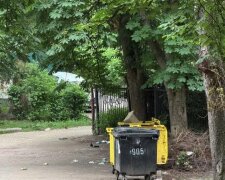Ботсад Фоміна