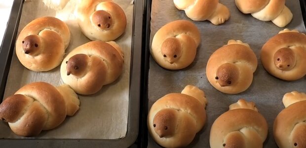 k4miRgeyd7dz9jI9gORNDzm2ufzYhJeJWXJppK03