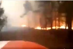 "Отрута ляже над містами і селами": синоптики терміново звернулися до українців, жертв тисячі