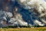 Лесные пожары в Луганской области: спасатели сделали экстренное заявление