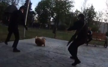 Стрельба на детской площадке в  Одессе: скандал с полицейскими получил продолжение, видео