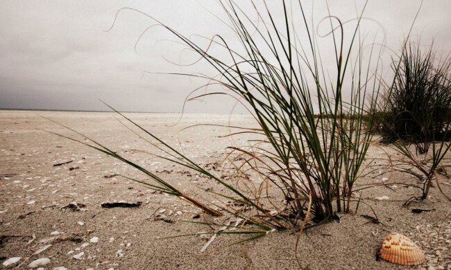 засуха, катастрофа, крым