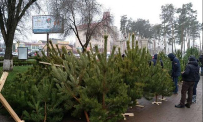 Стрельбу устроили на елочном базаре в Киеве, пуля задела случайную прохожую: детали ЧП