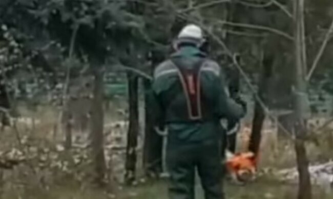 "Вже не знають, куди бабло списувати": харківські комунальники вирішили покосити траву в мороз, кадри
