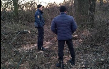Масове знищення лісу на Одещині, поліцію підняли по тривозі: кадри свавілля