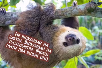 Це ранок вас розвеселить: анекдоти 11 червня