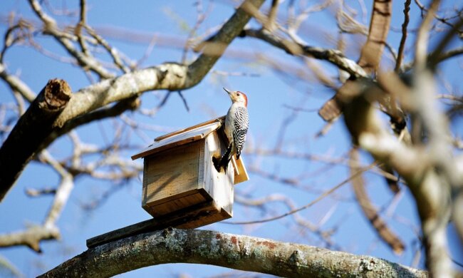 Погода в Украине 20 апреля