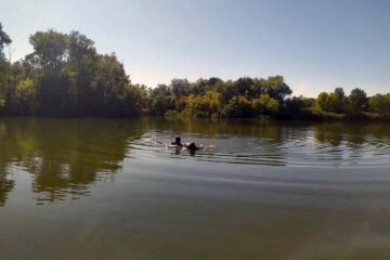 Под Днепром в реке обнаружили тело мужчины: кадры и подробности трагедии