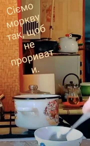 семена моркови