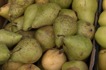 груша, фрукти, ринок, покупка