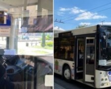 "Будете ждать пока я пожру": маршрутчик из Запорожья остановил автобус с пассажирами ради обеда, кадры