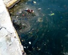 Море Канализация