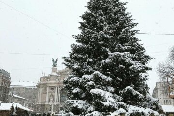 Динозавры «поселились» в центре Львова: «Движутся и рычат», видео