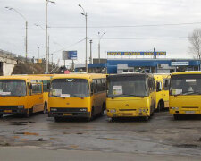 Київські маршрутки перевірять на легальність