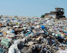 Від львівського сміття постраждала міжнародна траса – фото