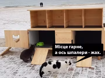 Анекдоти дня 9 січня